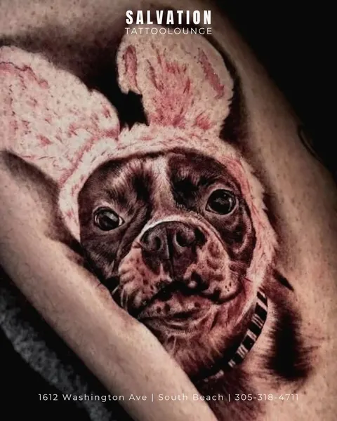 Animal