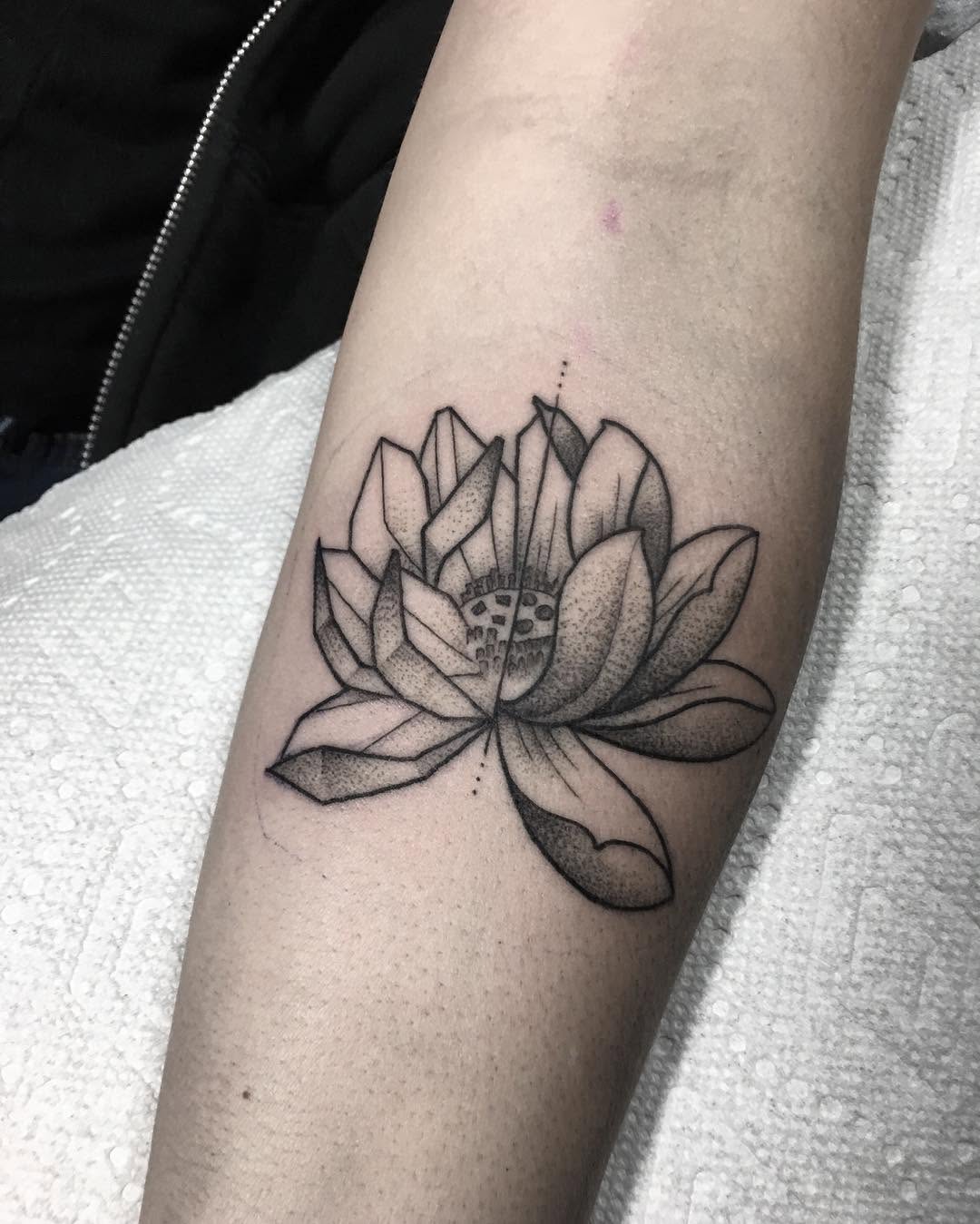 Flower, 연꽃, 한국 연꽃