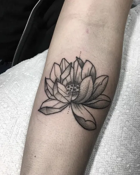 Flower, 연꽃, 한국 연꽃