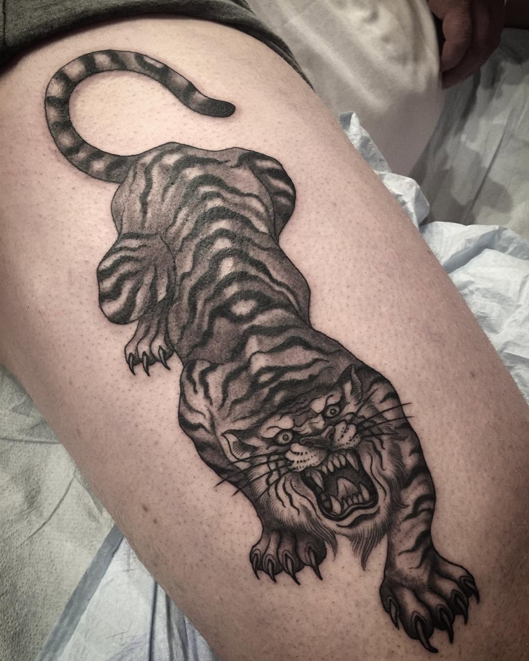 Tiger, 치타, 팬서, 재규어, 일본 호랑이, 중국 호랑이, 한국 호랑이