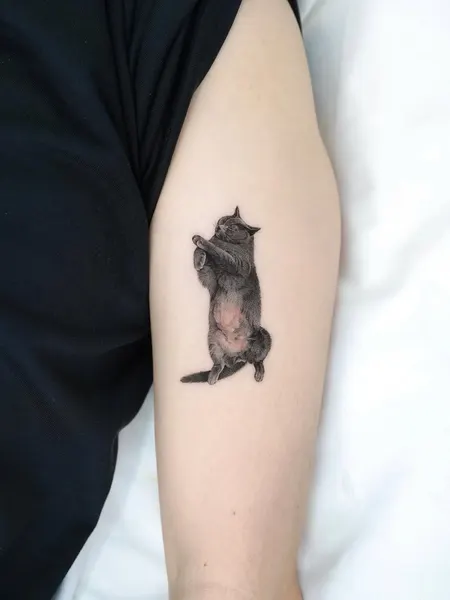 너구리, 다람쥐