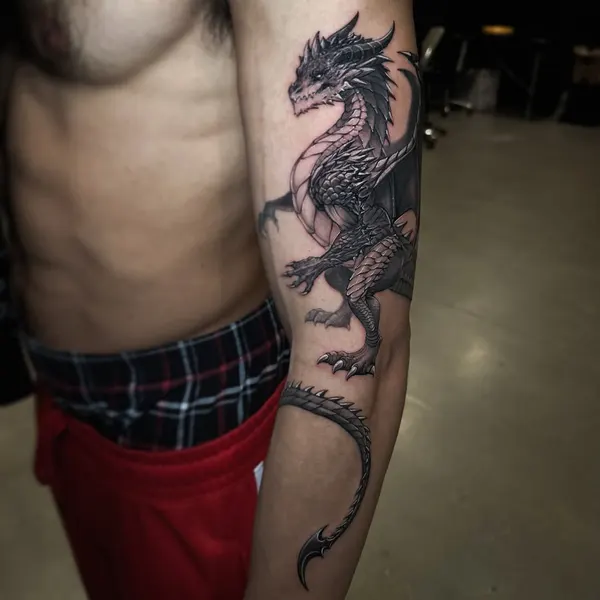 드래곤 라이더, Dragon
