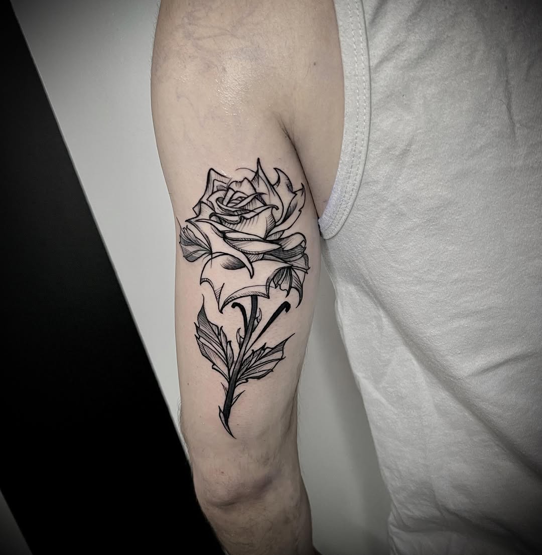 Flower, Rose, Nature