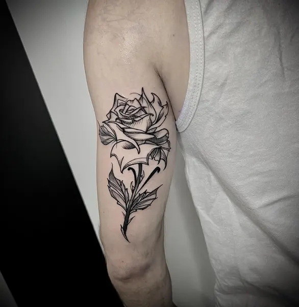 Flower, Rose, Nature