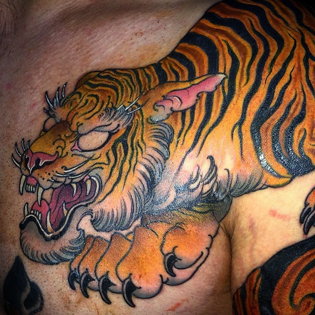 Tiger, 일본 호랑이, 중국 호랑이, 한국 호랑이