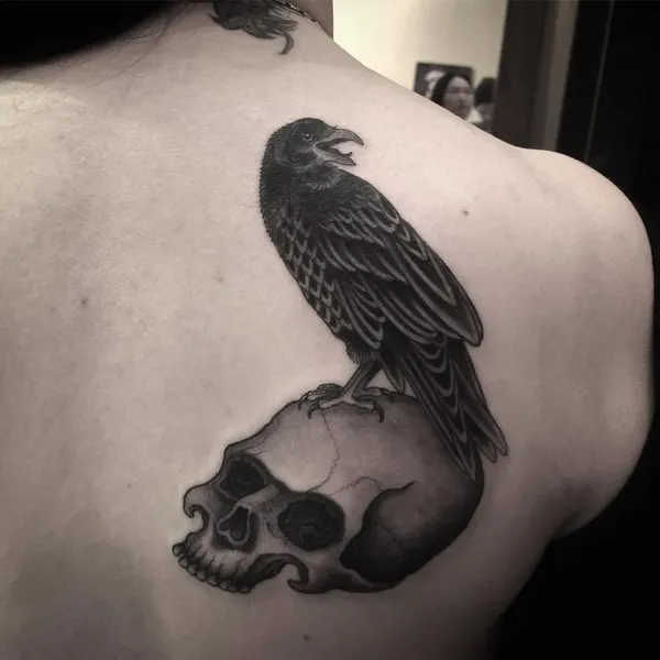 Animal