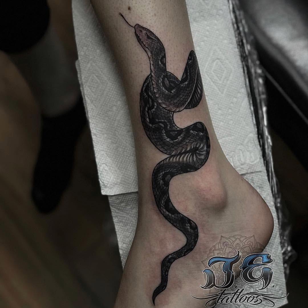 Dragon, Snake