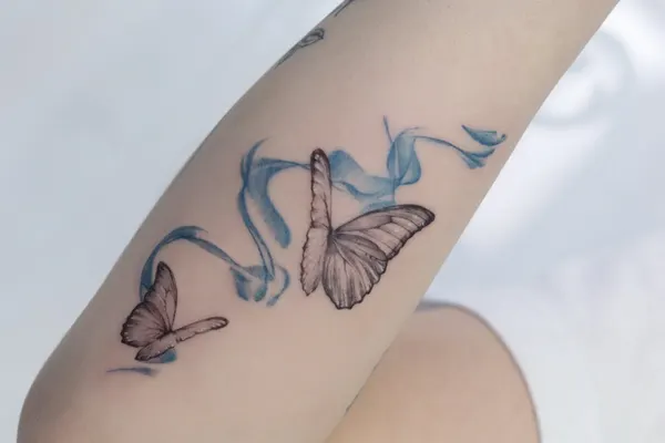 Nature, Animal