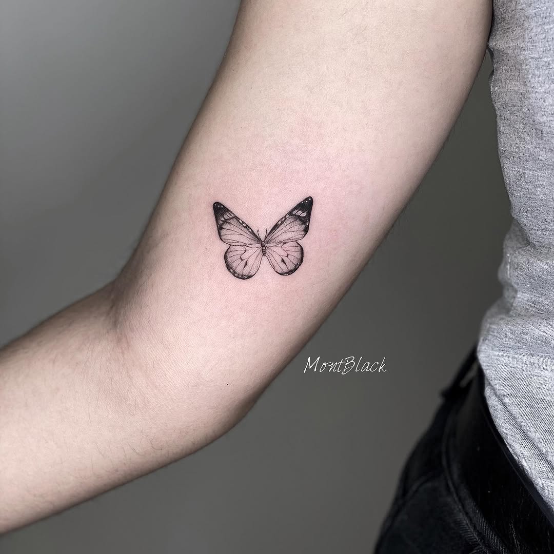 Animal, Nature, 나방
