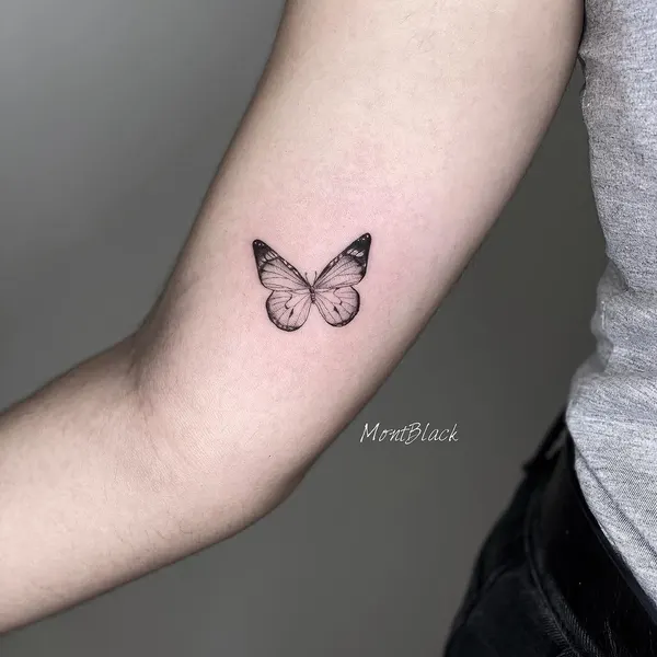Animal, Nature, 나방