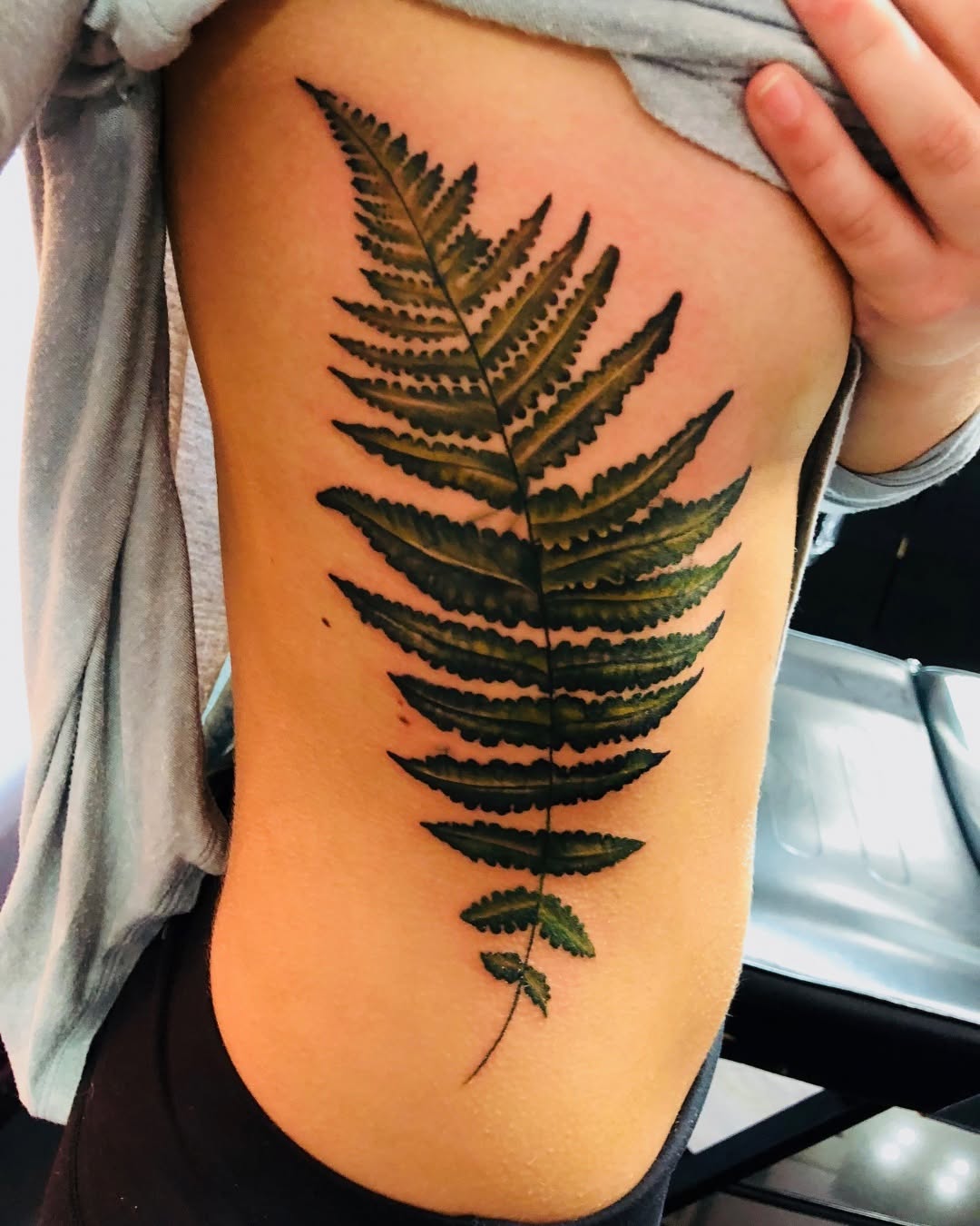 풀, Flower, 고사리, 단풍잎