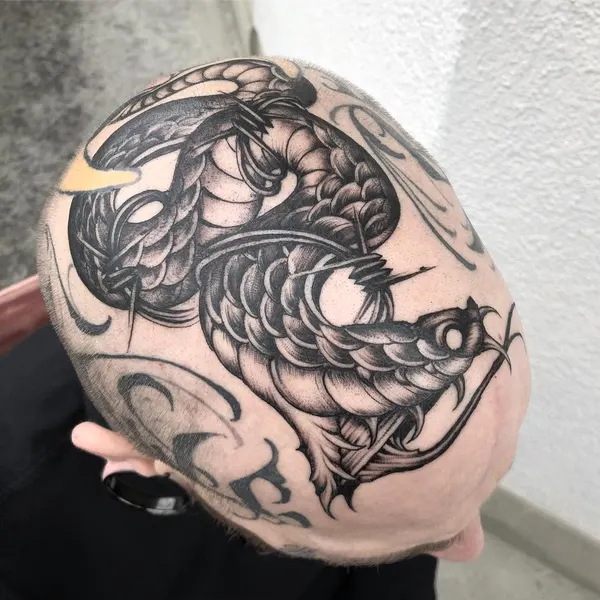 Dragon, 뇌
