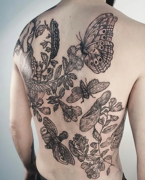 Nature, Animal, Flower