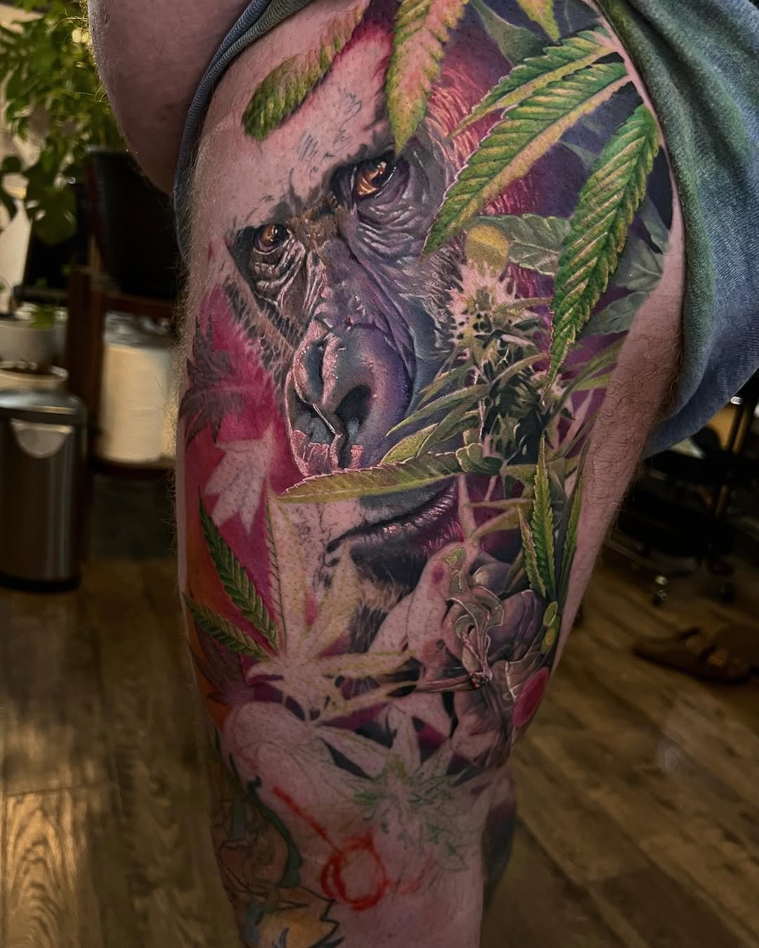 Tiger, Animal, 고릴라, 원숭이