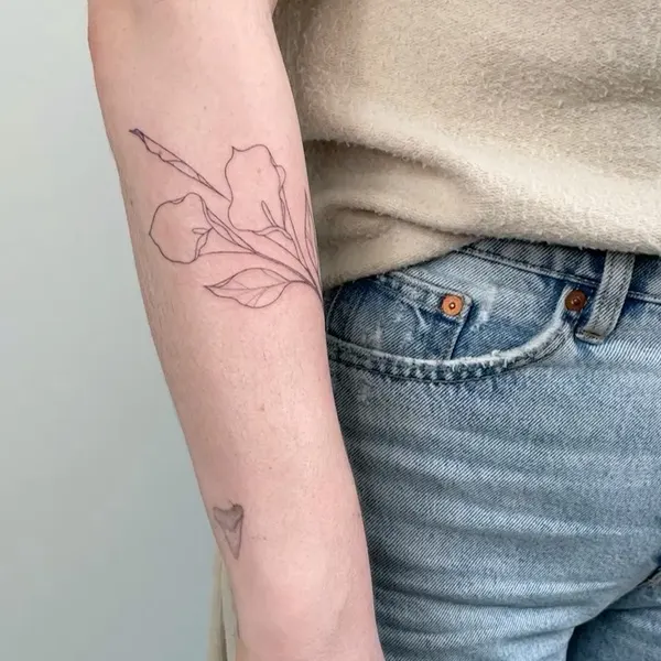 Flower, Rose