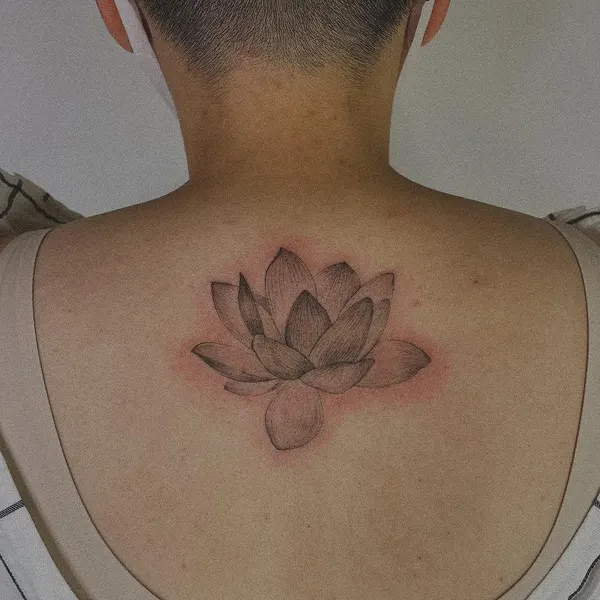 Flower, 연꽃, 연꽃 문양, 한국 연꽃, 연꽃 만다라, 차크라