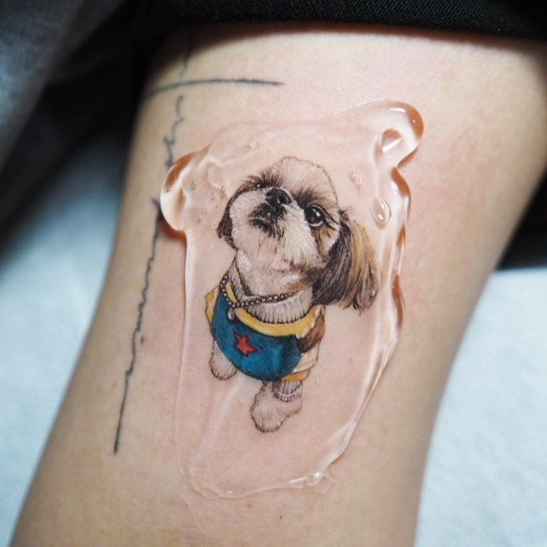 반려동물