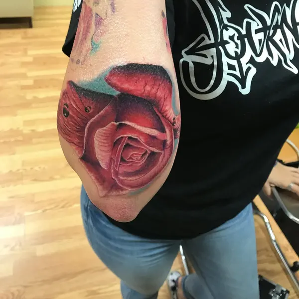 Flower, Rose
