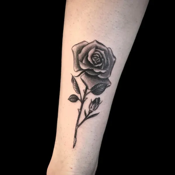 Flower, Rose
