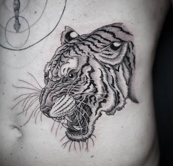 Tiger, 한국 호랑이, 중국 호랑이