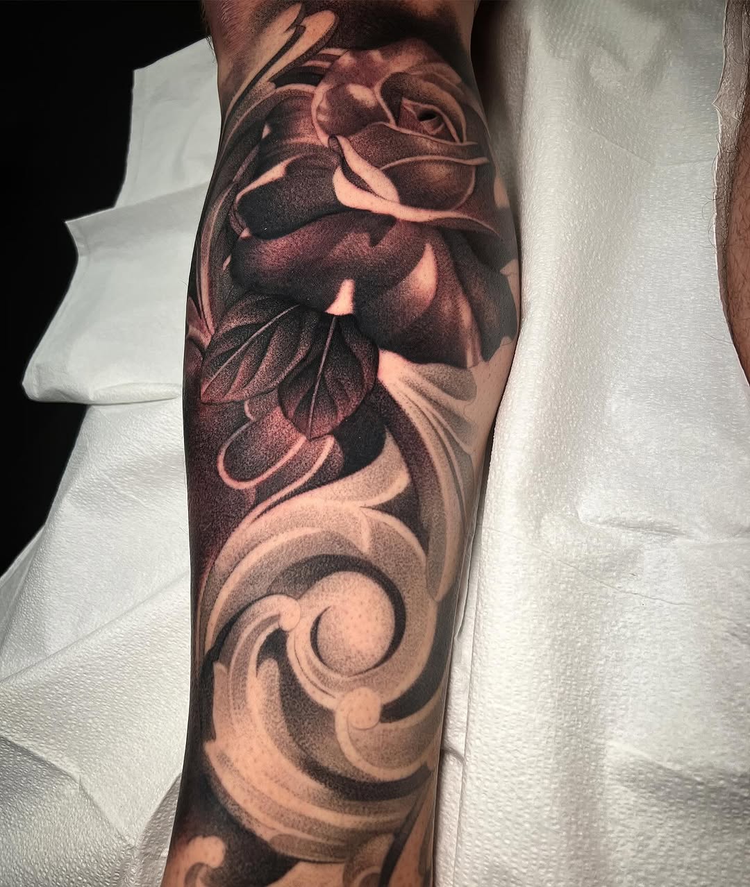 Flower, Rose
