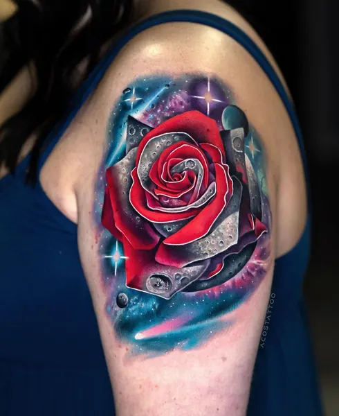 Flower, Rose, Nature