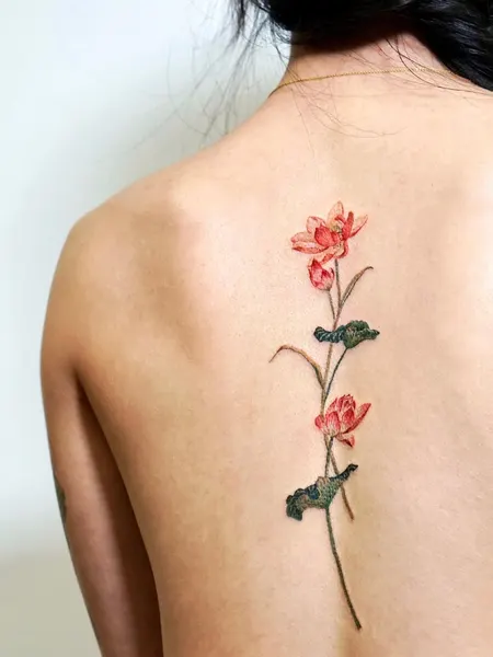 Flower, Nature