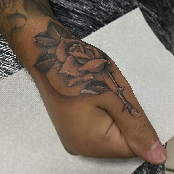 Flower, Rose