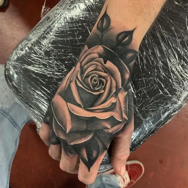 Flower, Rose