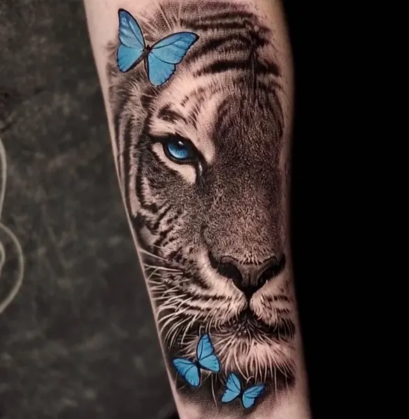 Tiger
