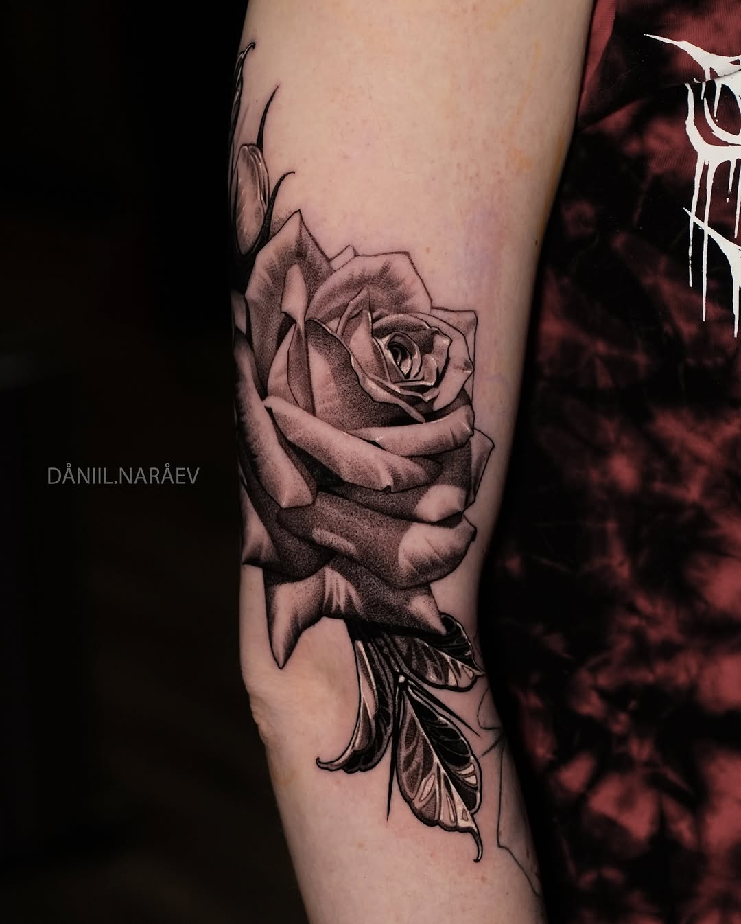 Flower, Rose, Nature