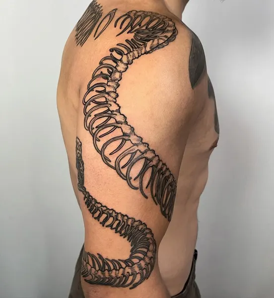 띠, Dragon, 한국, 한자, 아시아, 일본 용, 한국 용, 한국 장식, 한자 레터링, 중국 용, 한국 문양, 한국 전통, Snake