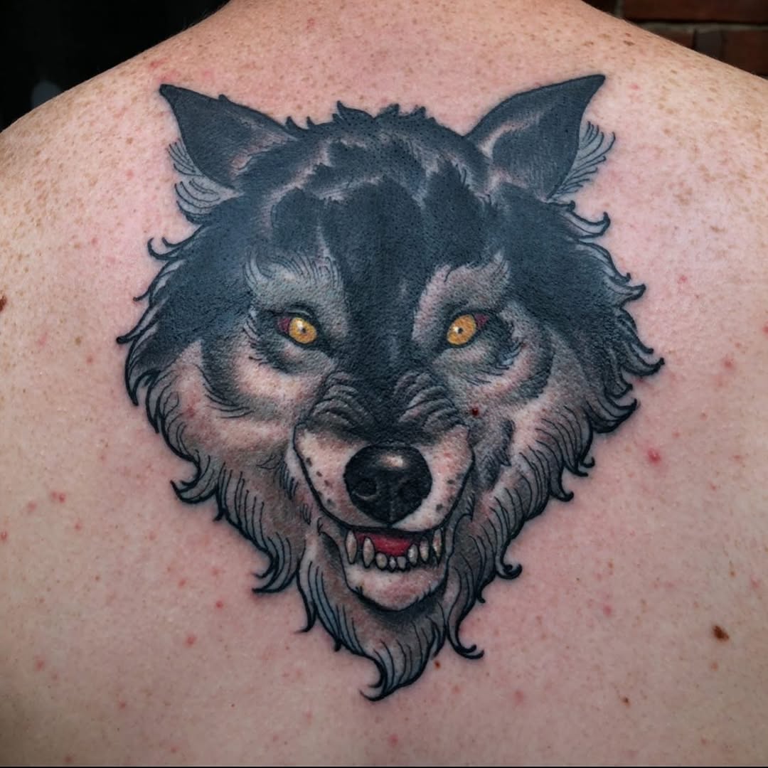 Animal, Tiger, 늑대