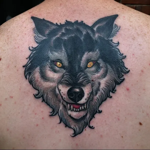 Animal, Tiger, 늑대