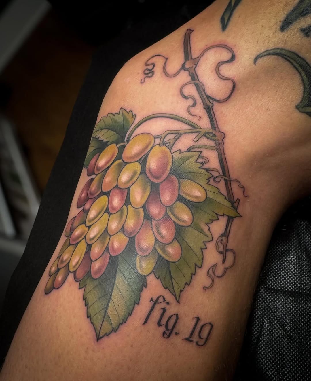 Flower, Rose, 포도