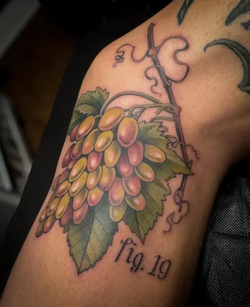 Flower, Rose, 포도