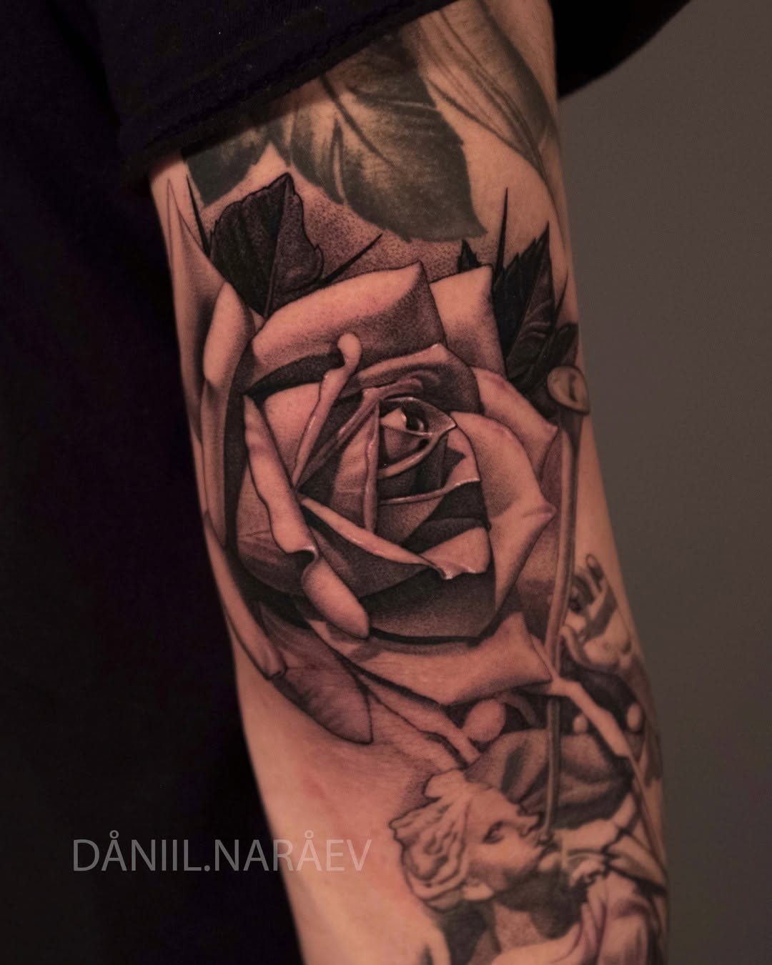Flower, Rose