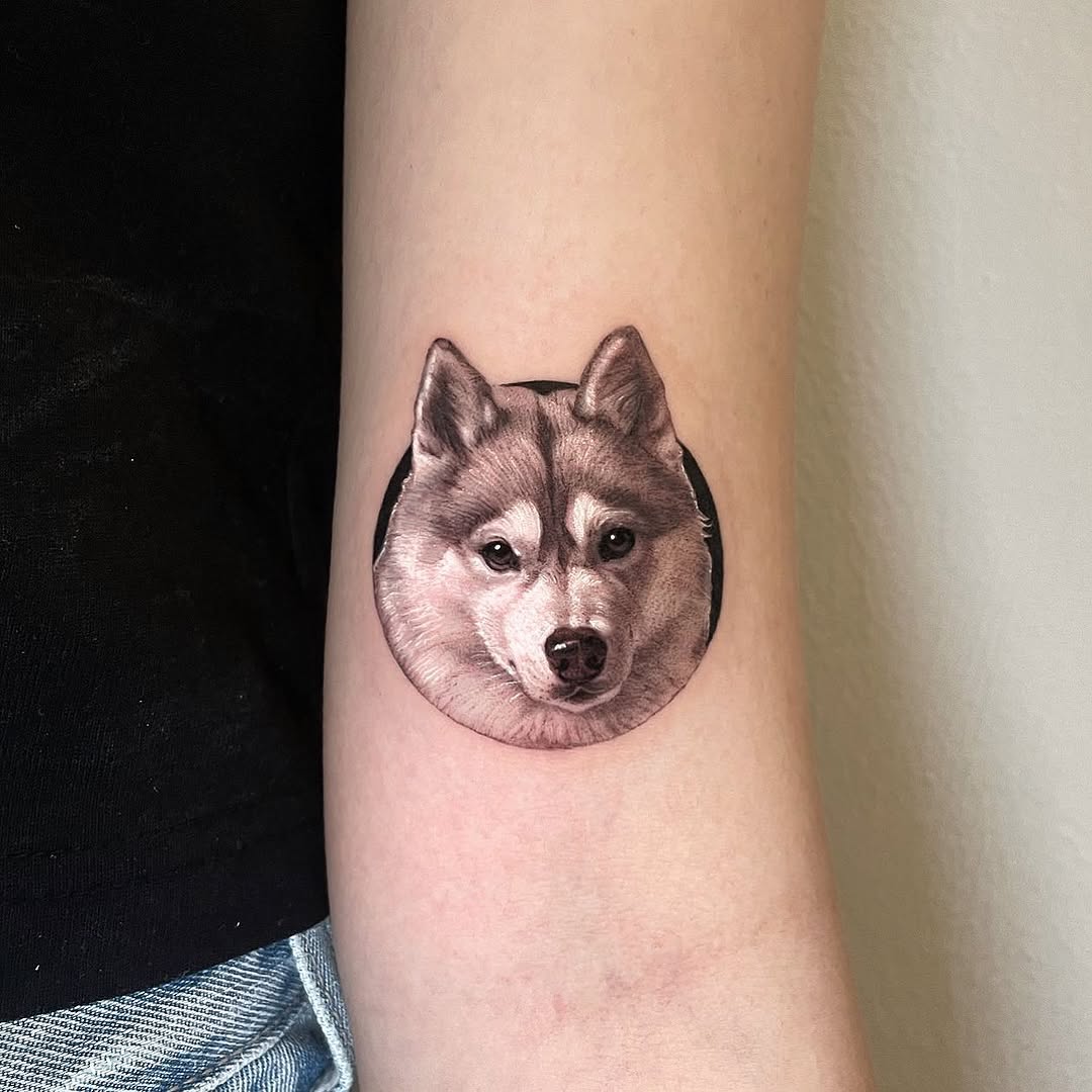 Animal