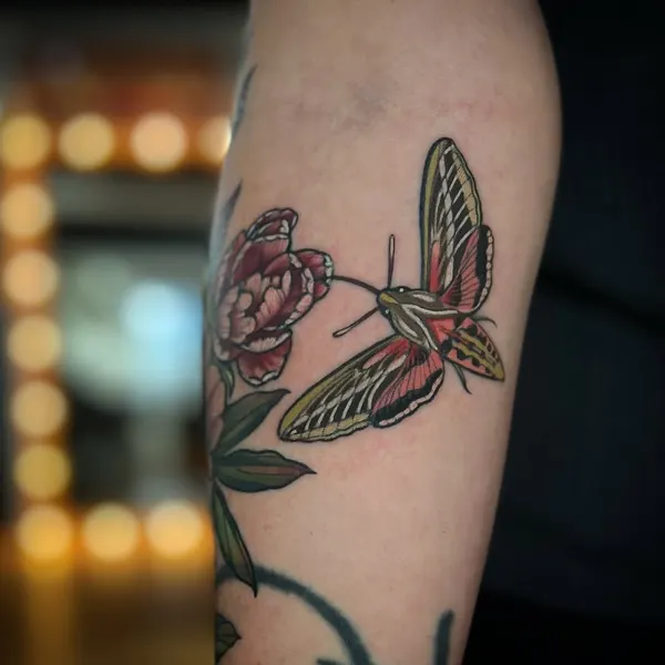 Flower, Rose