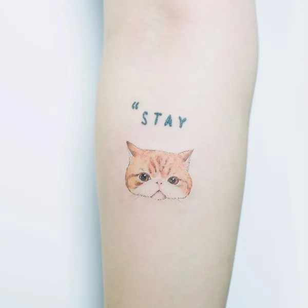 soltattoo