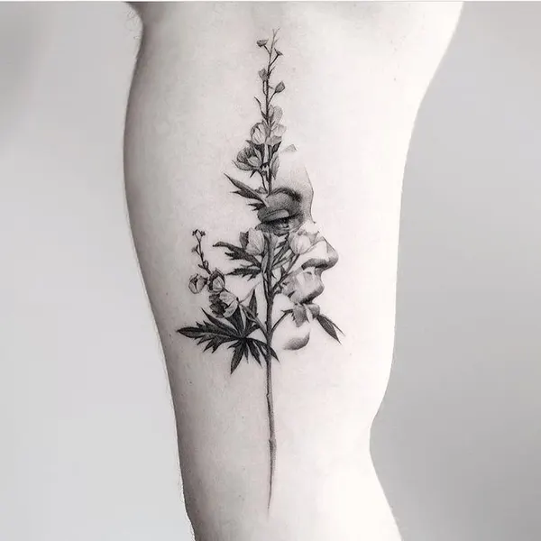 equilattera