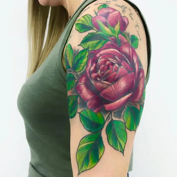 Flower, Rose, Nature