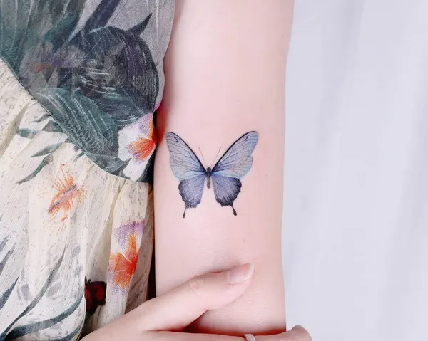 Animal, Nature, 나방, 나비, 요정