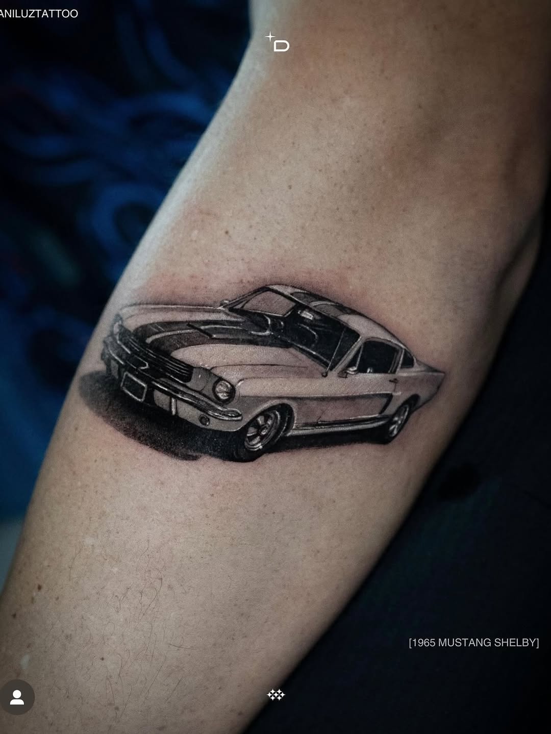 Dragon, 악어