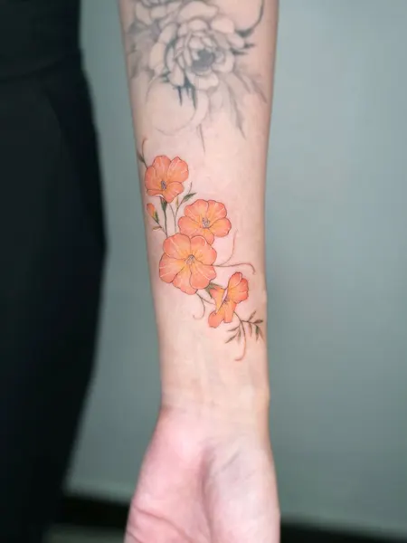 Flower, 꽃다발, 매화, 양귀비, 꽃 배경