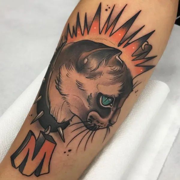Animal, Tiger