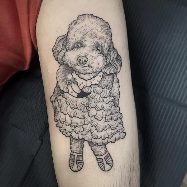 Animal