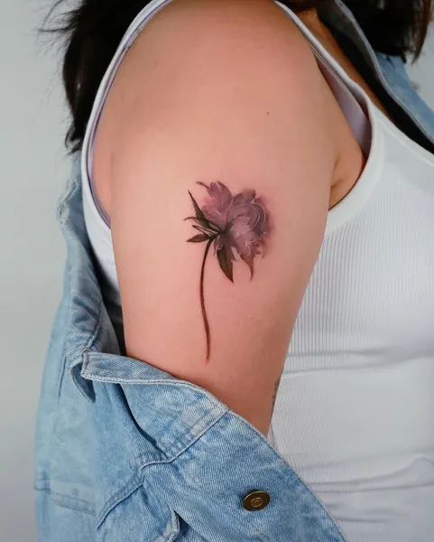 Flower, Rose, 모란, 아이리스, 난초, 히비스커스