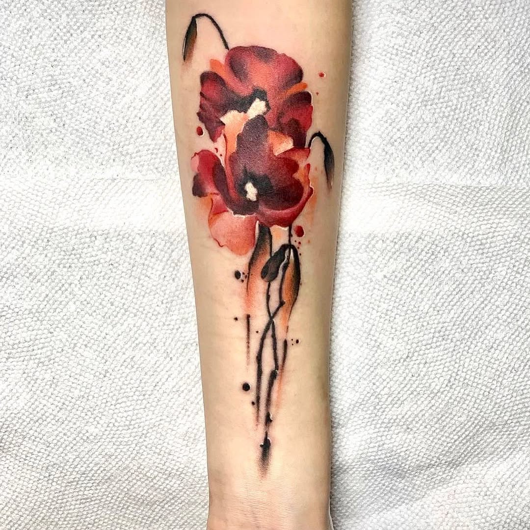 Flower, Rose, 양귀비