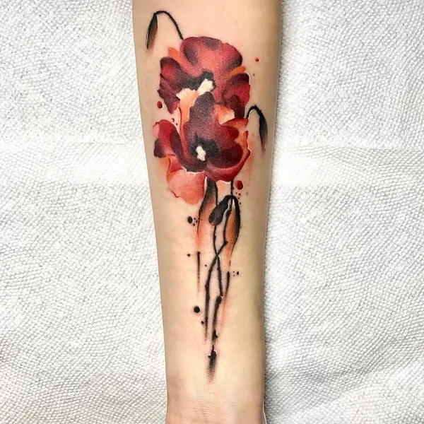 Flower, Rose, 양귀비